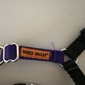 Purple Wonder Walker Dog Collar